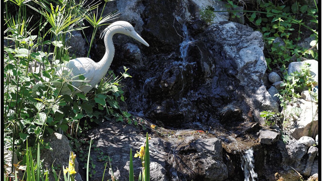 Photo of Outdoor in Rognonas