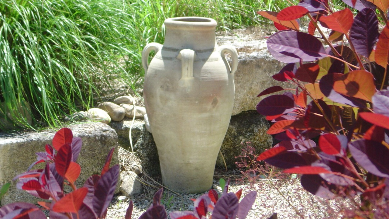 Photo of Outdoor in Rognonas