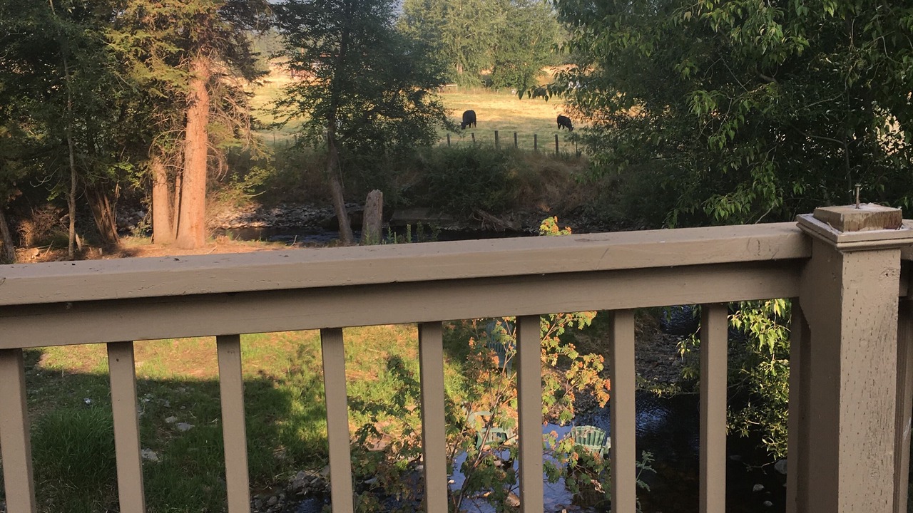 Photo of Others in Joseph