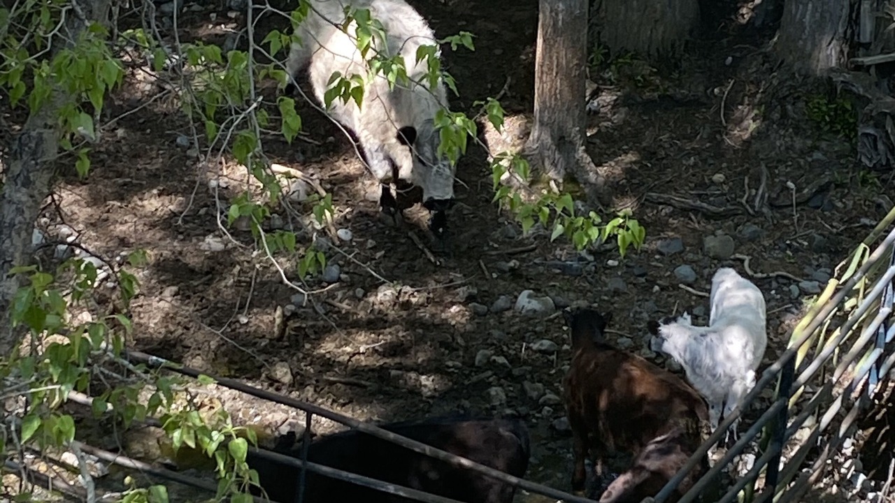 Photo of Others in Joseph