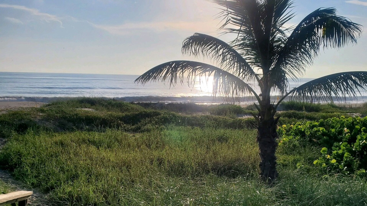 Photo of Others in Indialantic By The Sea