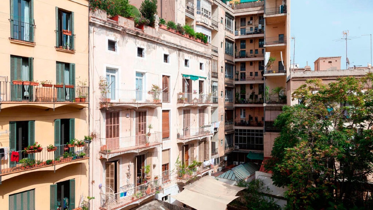 Photo of Outdoor in La Ribera