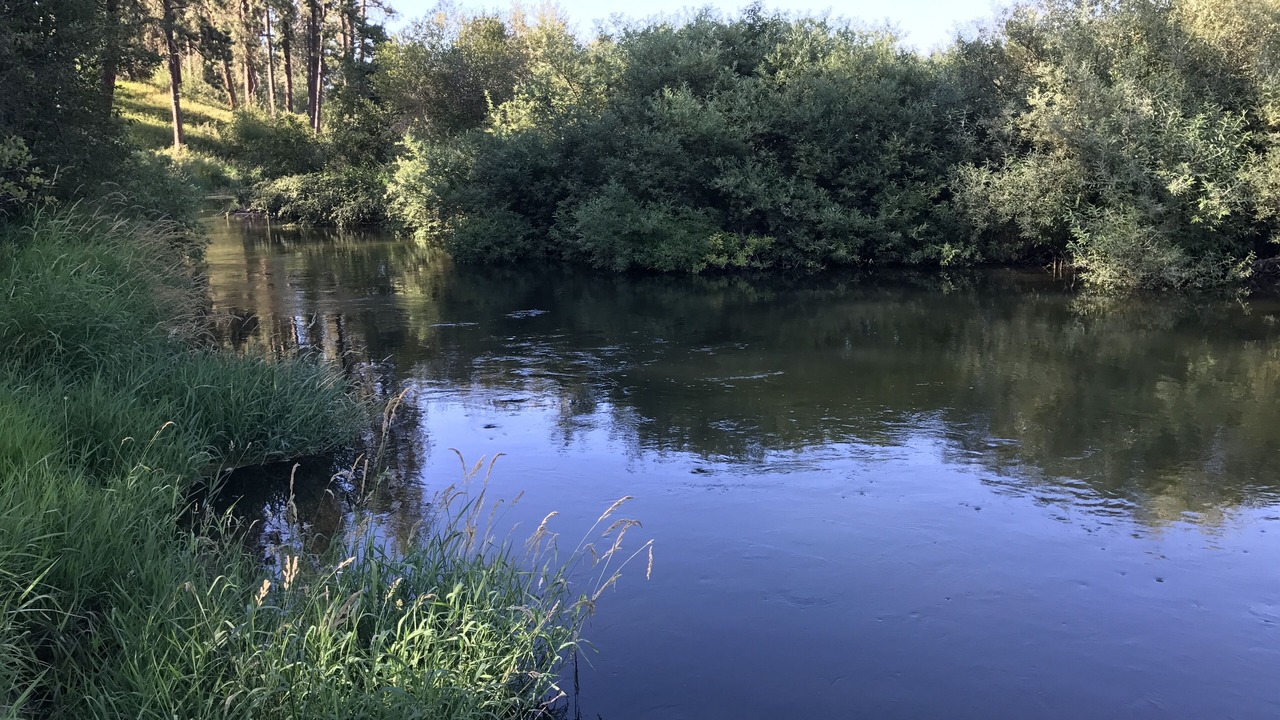 Photo of Others in Colbert