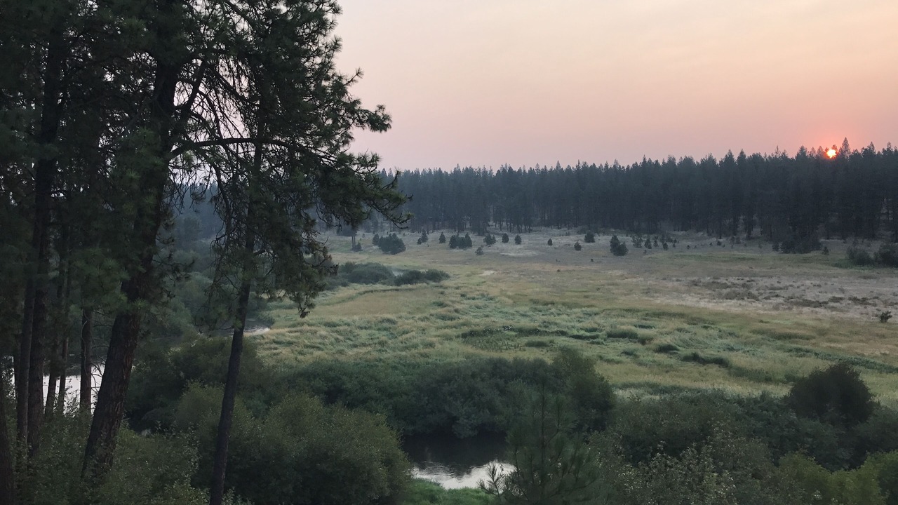 Photo of Others in Colbert