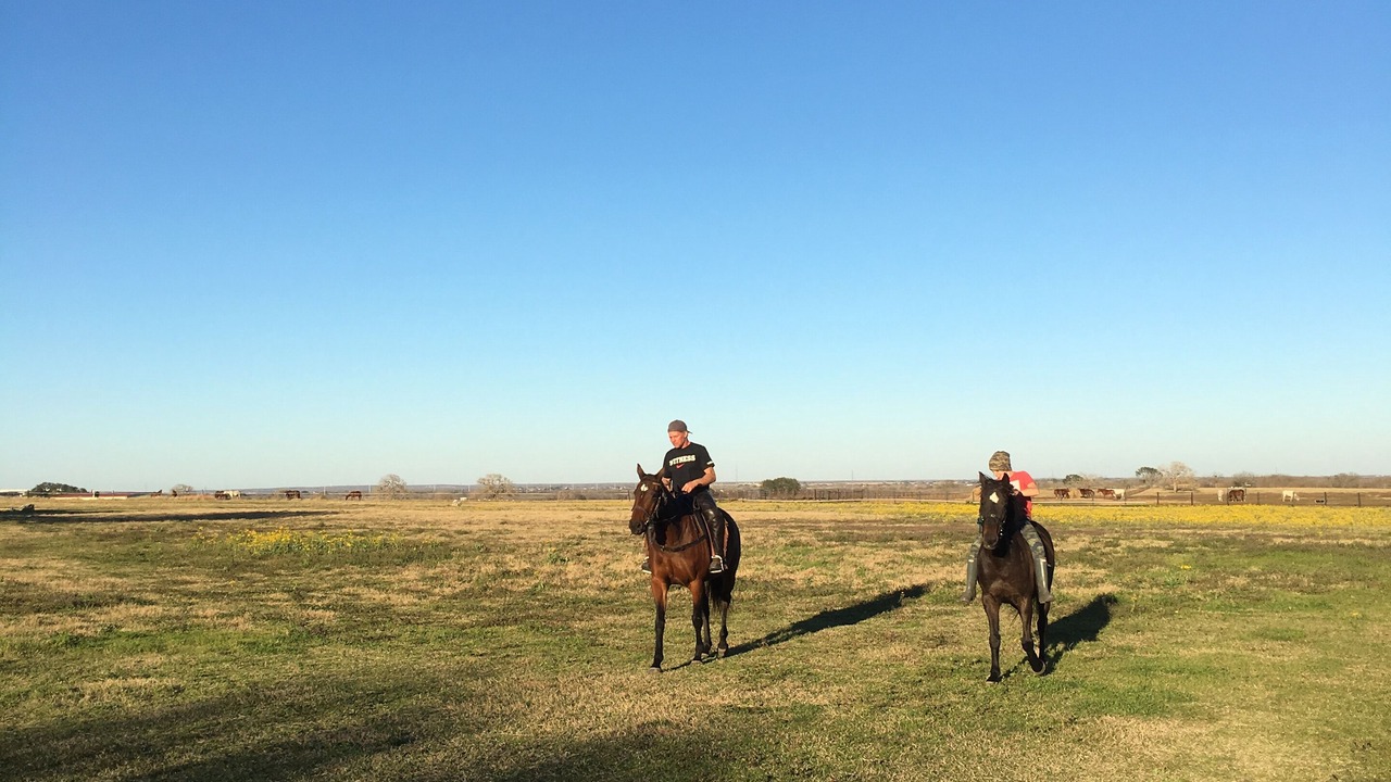 Photo of Others in Sutherland Springs