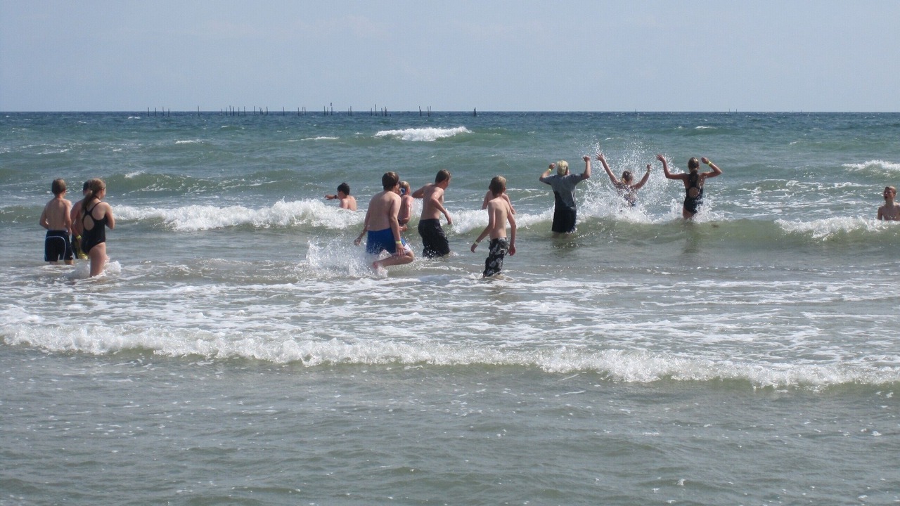 Photo of Others in Stege