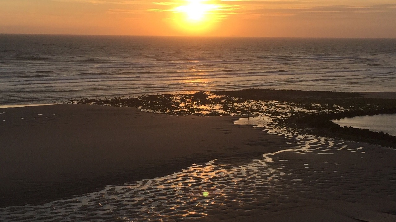Photo of Others in Wimereux
