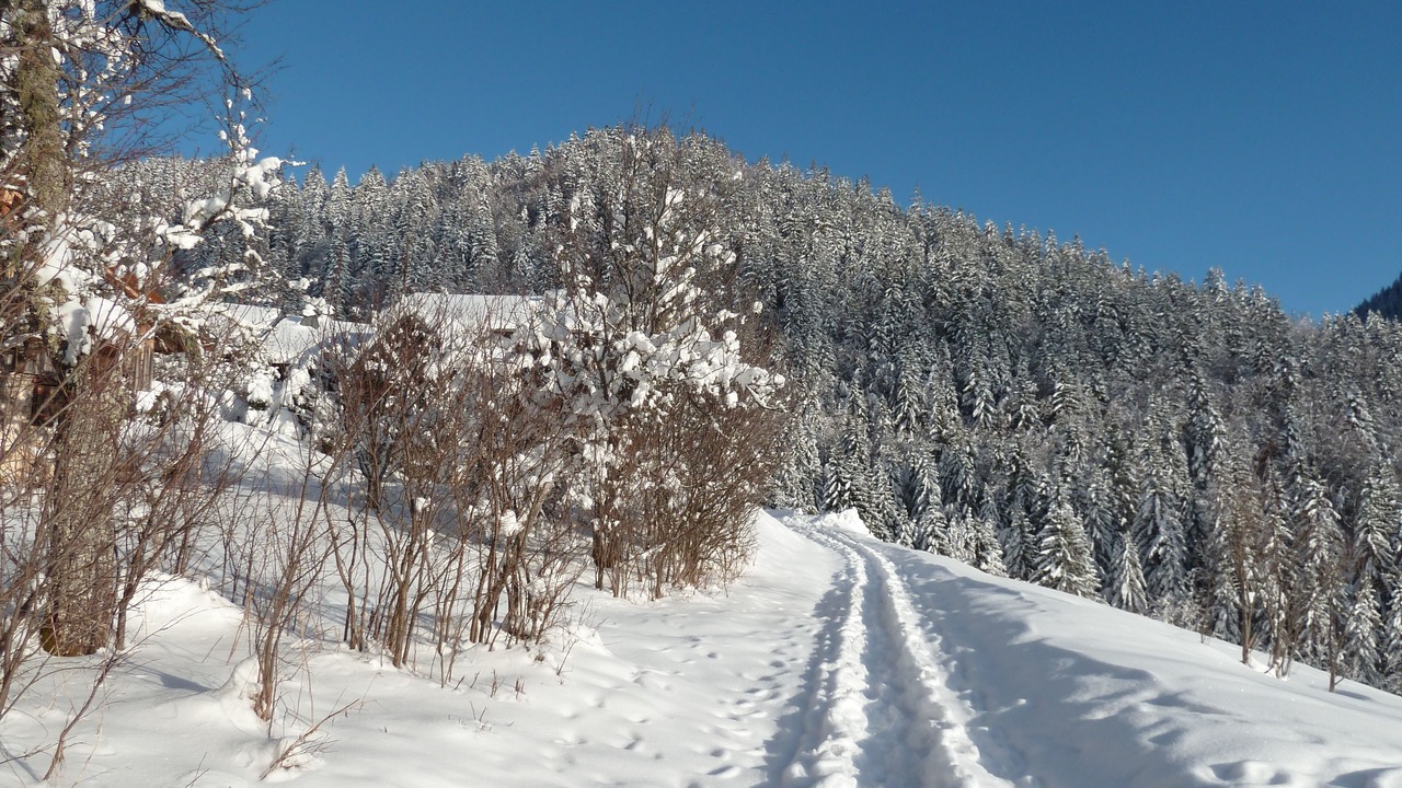 Photo of Others in Station de Drouzin le Mont