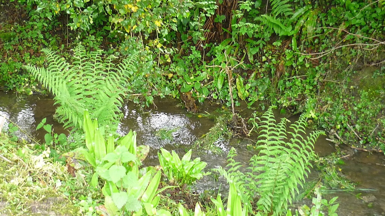 Photo of Outdoor in Saint-Germain-de-Livet