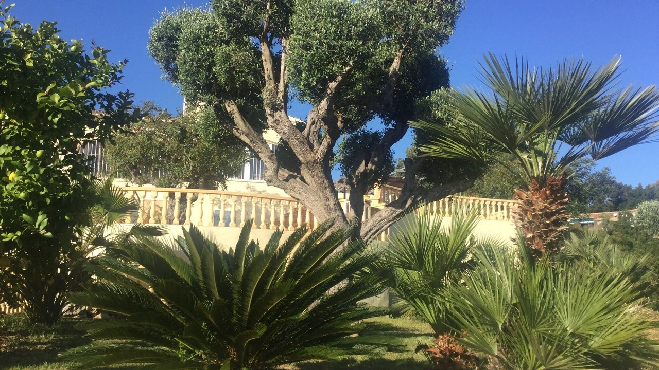 Photo of Outdoor in Gata de Gorgos