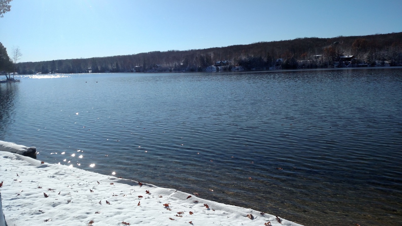 Photo of Others in Kalkaska