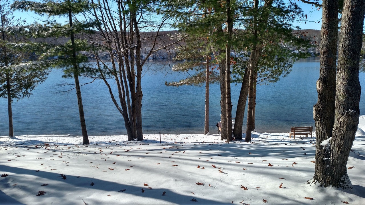 Photo of Others in Kalkaska