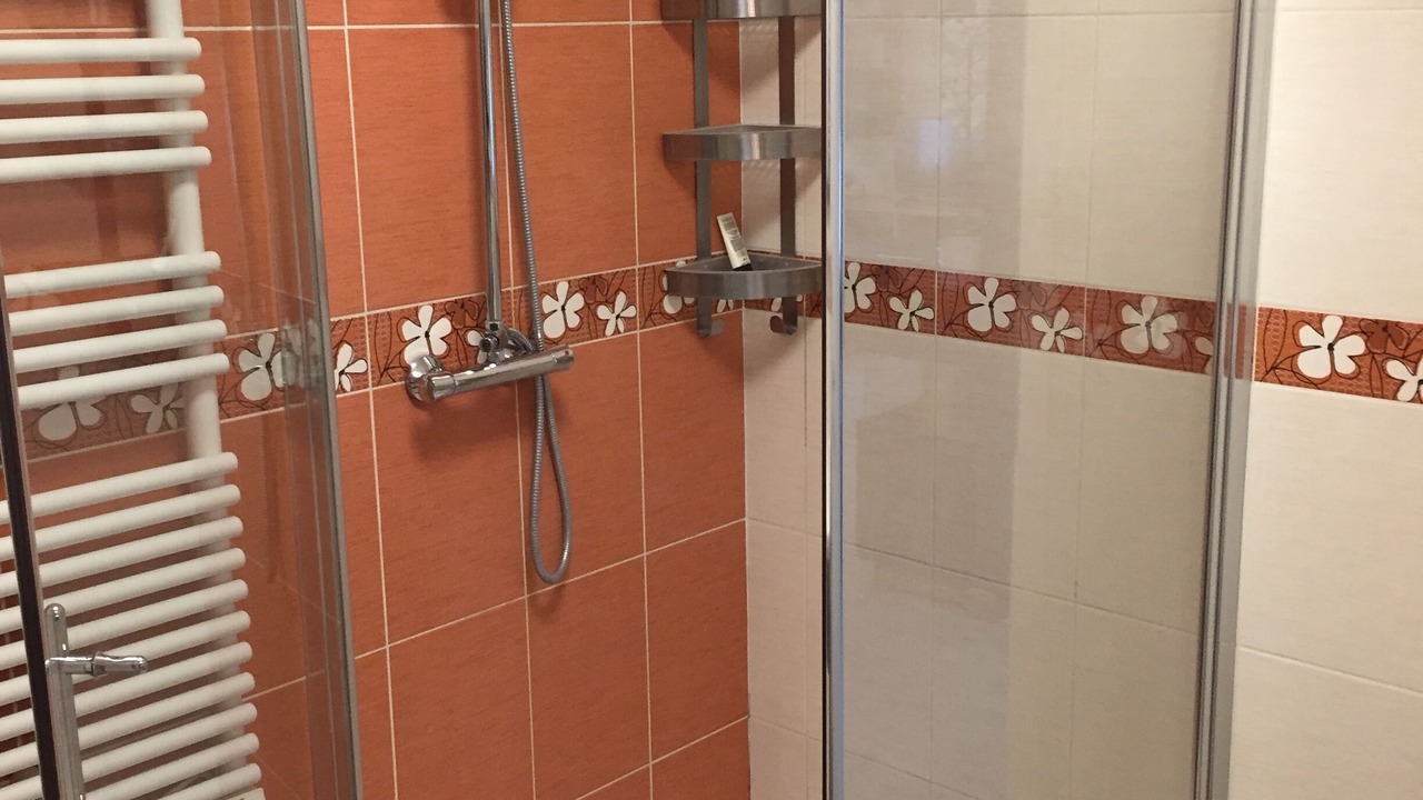 Photo of Bathroom in Apach