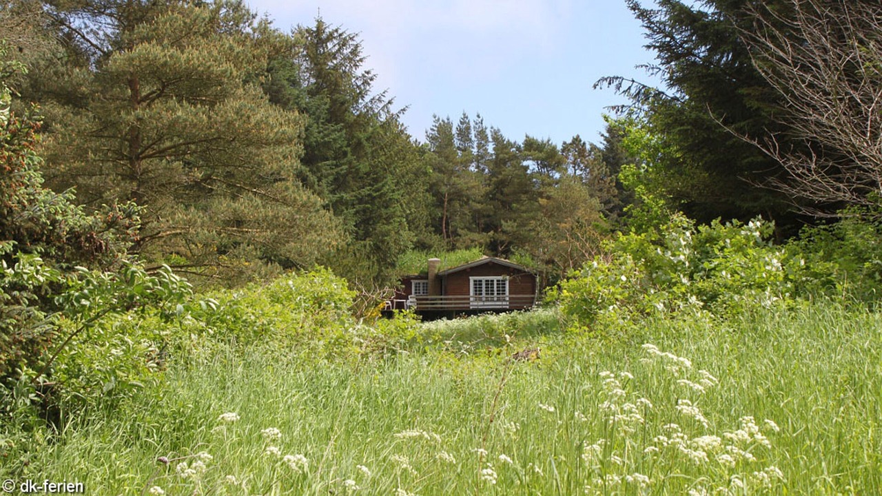 Photo of Outdoor in Skallerup Klit