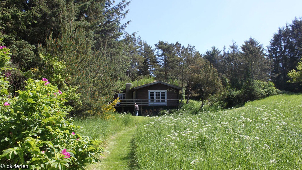 Photo of Outdoor in Skallerup Klit
