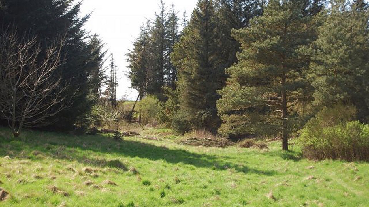 Photo of Outdoor in Skallerup Klit