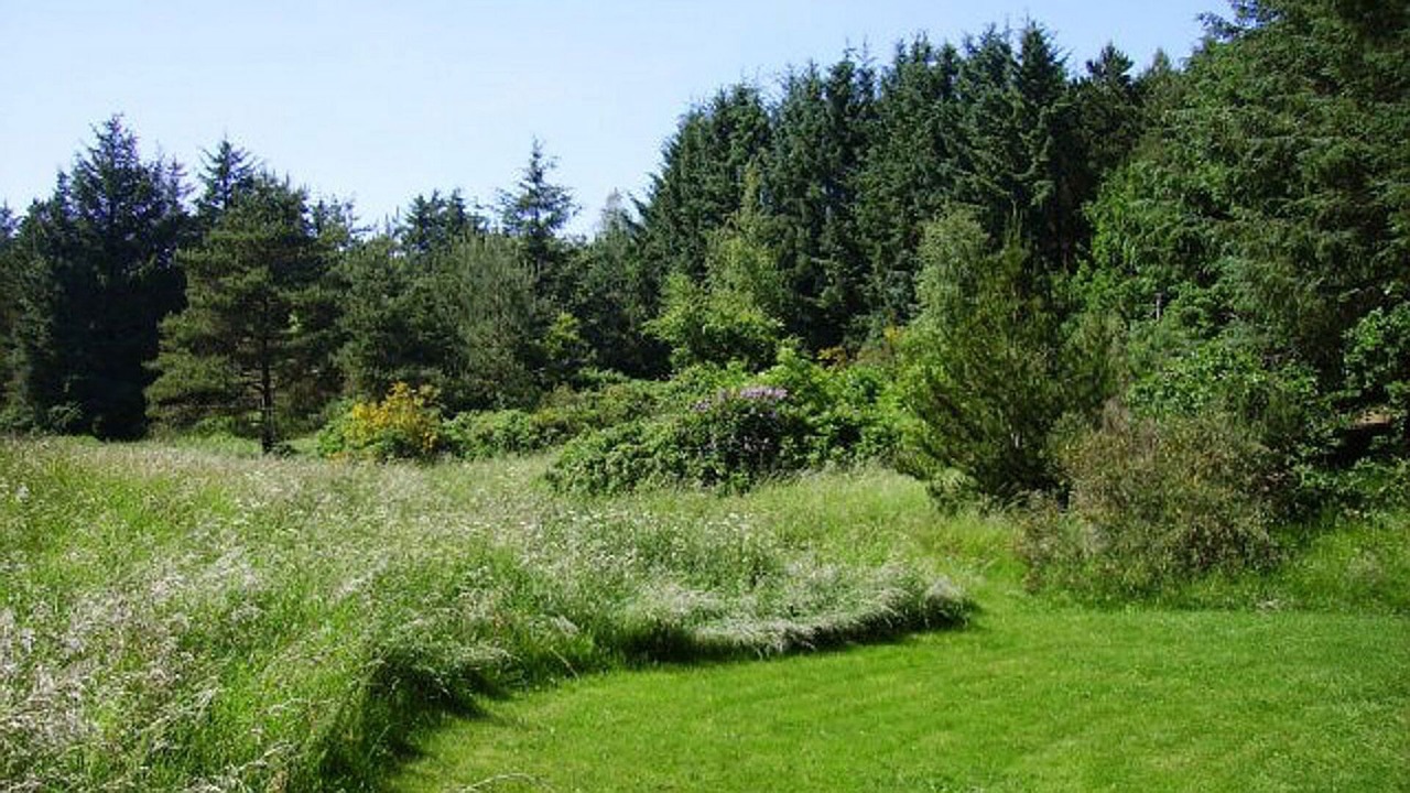 Photo of Outdoor in Skallerup Klit