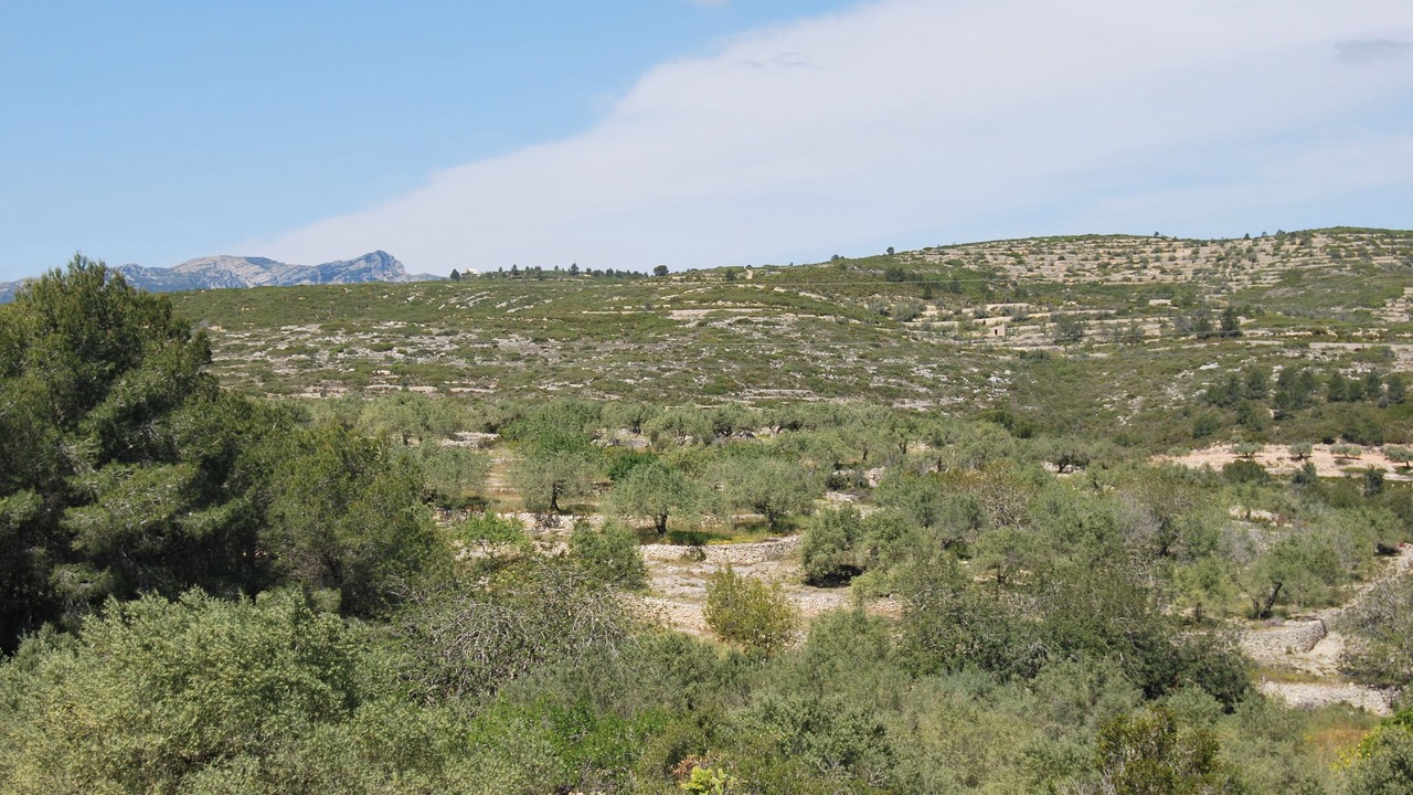 Photo of Outdoor in El Perello