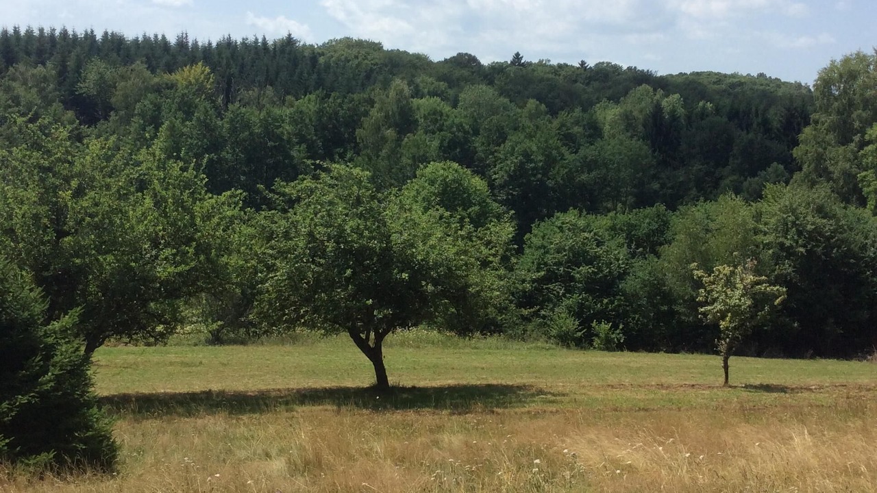 Photo of Outdoor in Ronchamp