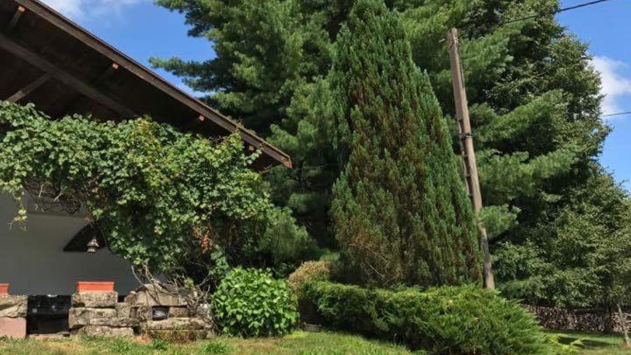 Photo of Outdoor in Ronchamp