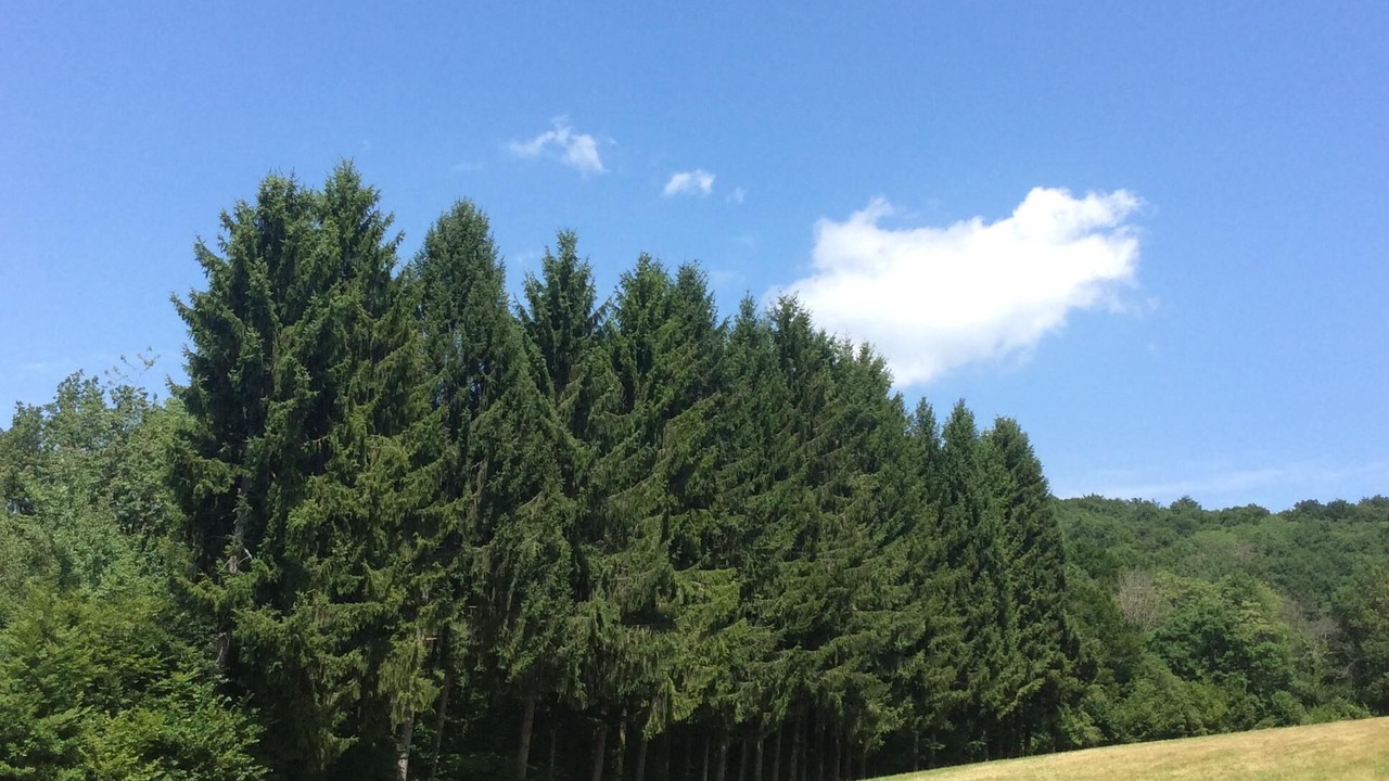 Photo of Outdoor in Ronchamp