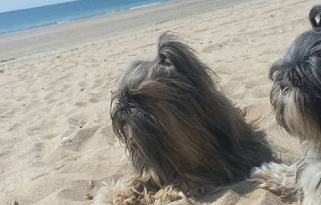 Photo of Others in La Baule-Escoublac