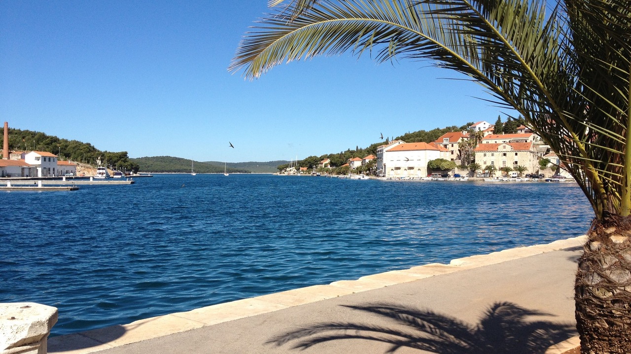 Photo of Others in Cove Osibova (Milna)