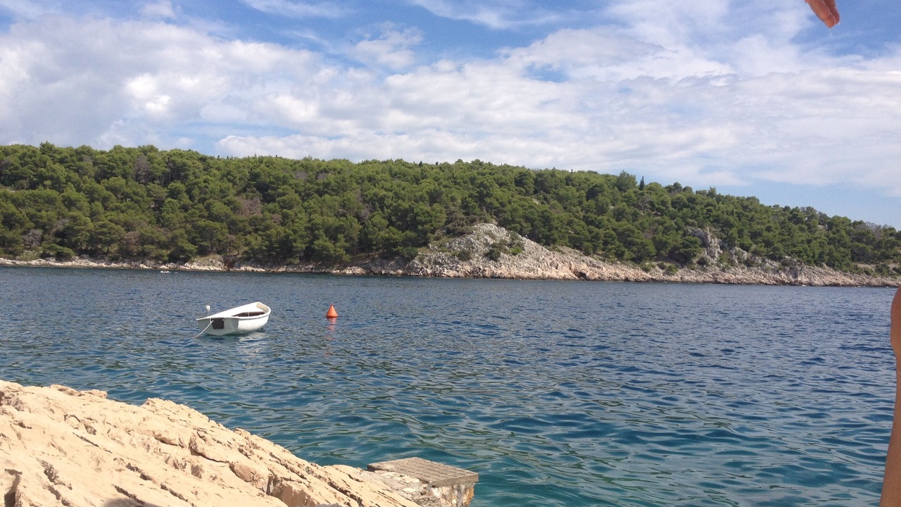 Photo of Others in Cove Osibova (Milna)