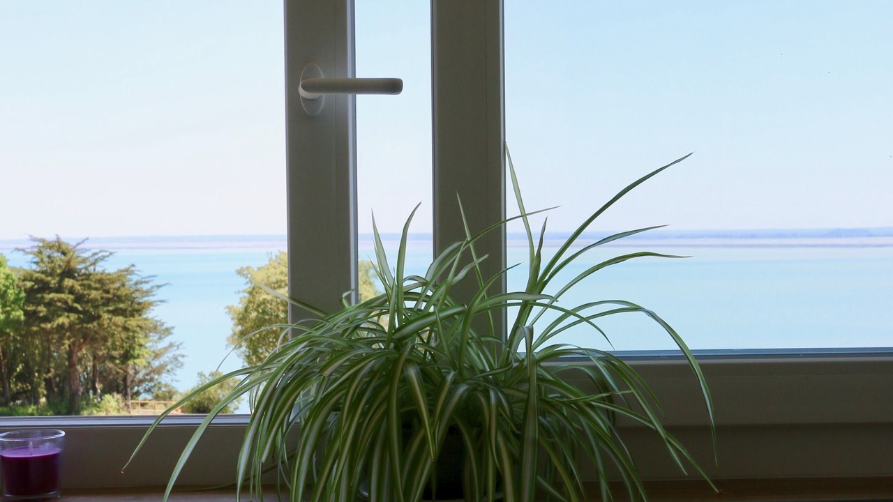 Photo of Others in Cancale