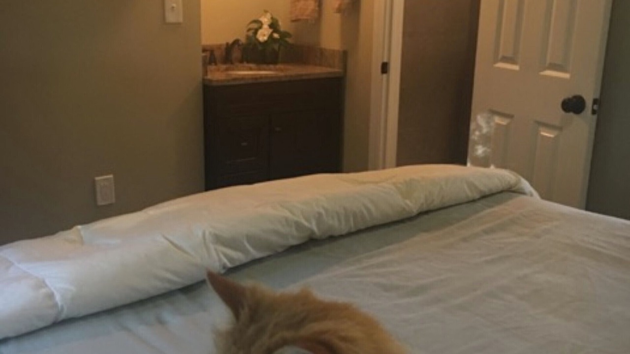 Photo of Bedroom in Charlevoix