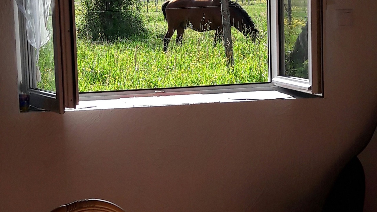 Photo of Others in Cellettes