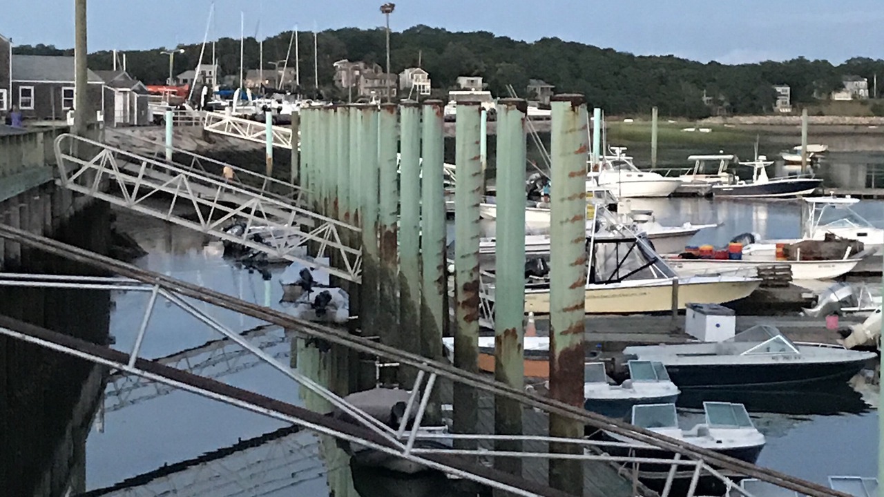 Photo of Others in Wellfleet