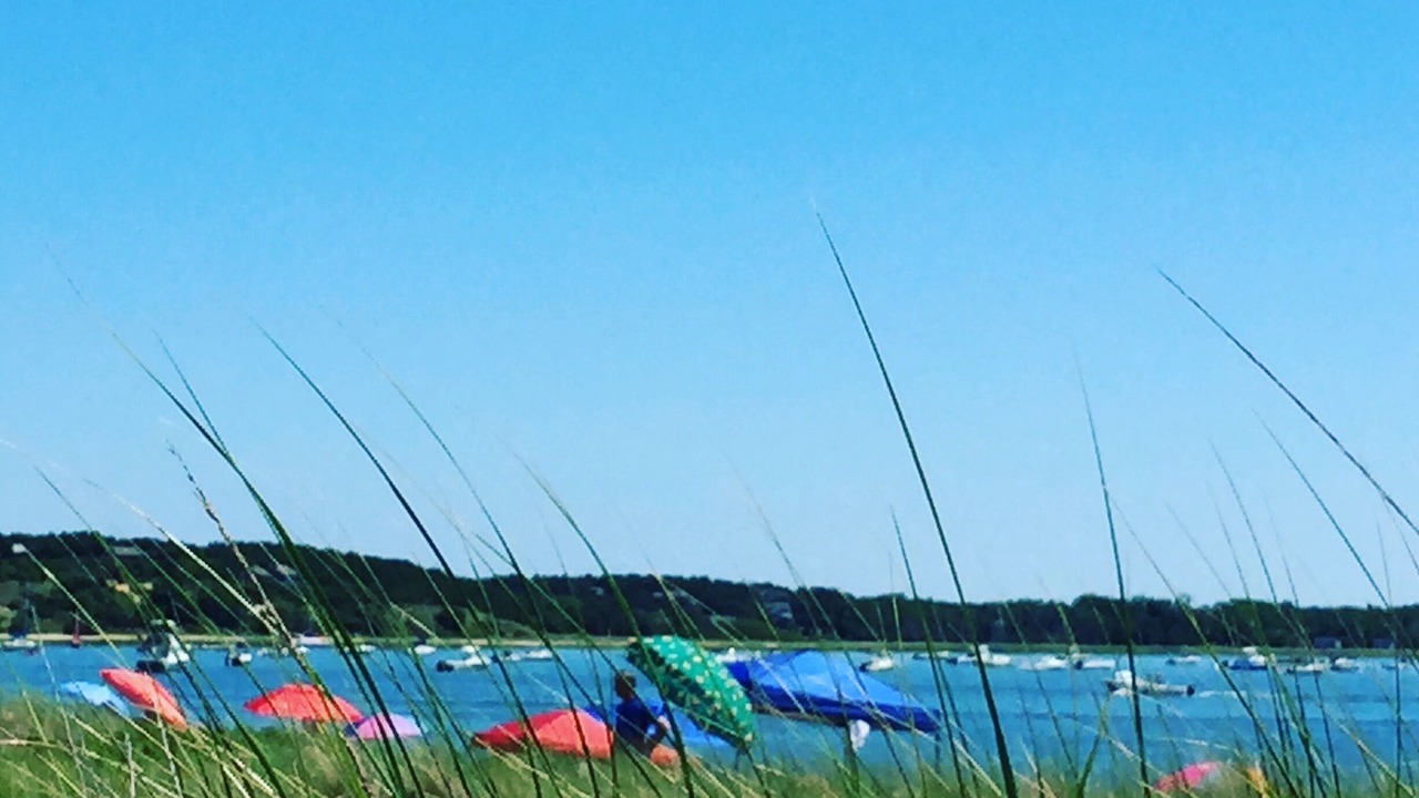 Photo of Others in Wellfleet