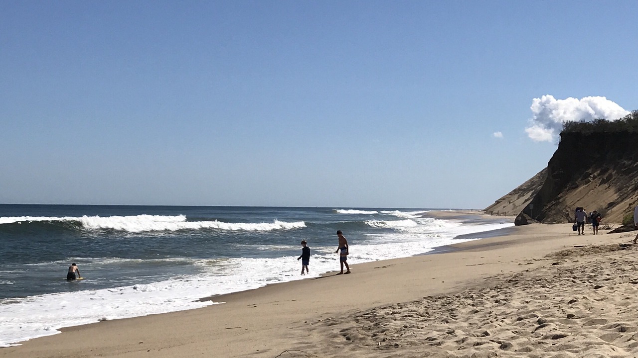 Photo of Others in Wellfleet