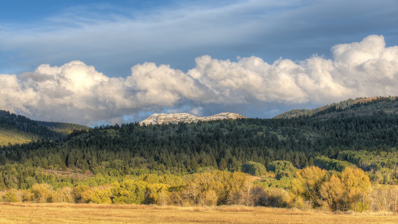 Photo of Outdoor in Victor