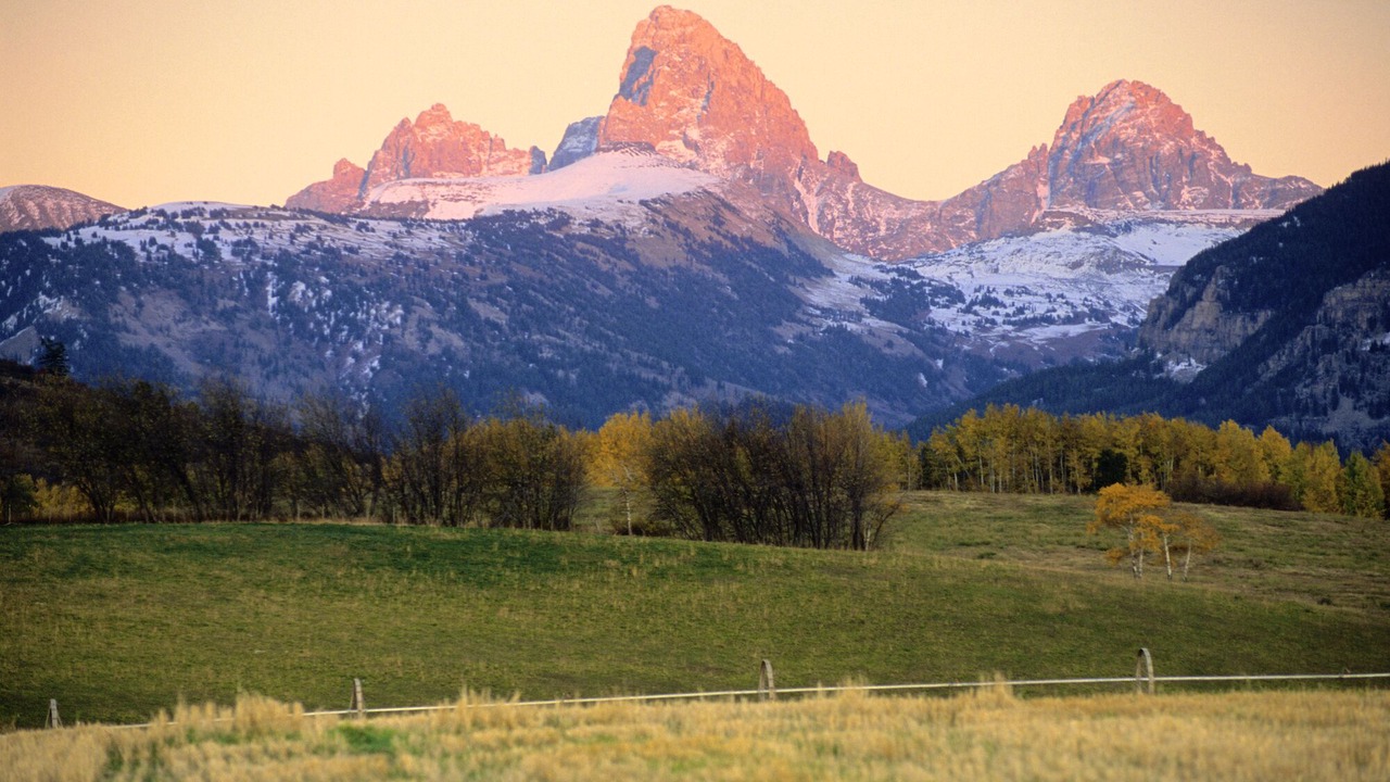 Photo of Others in Victor