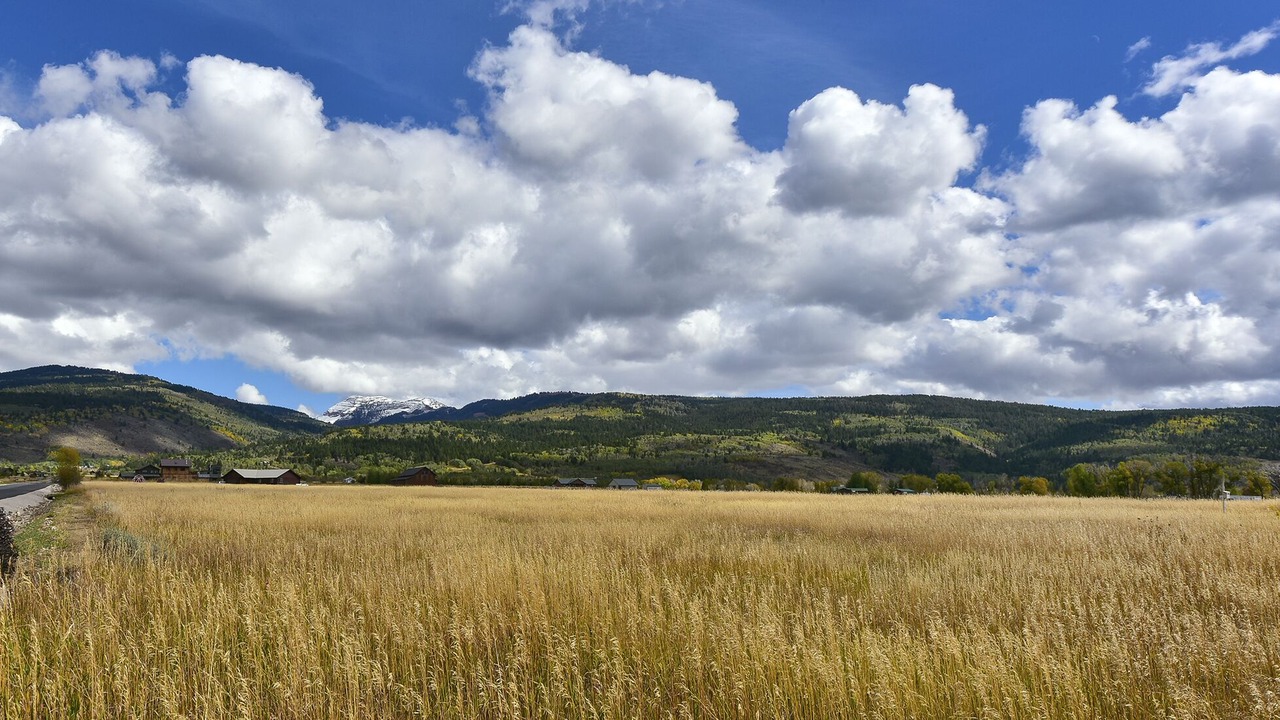 Photo of Others in Victor