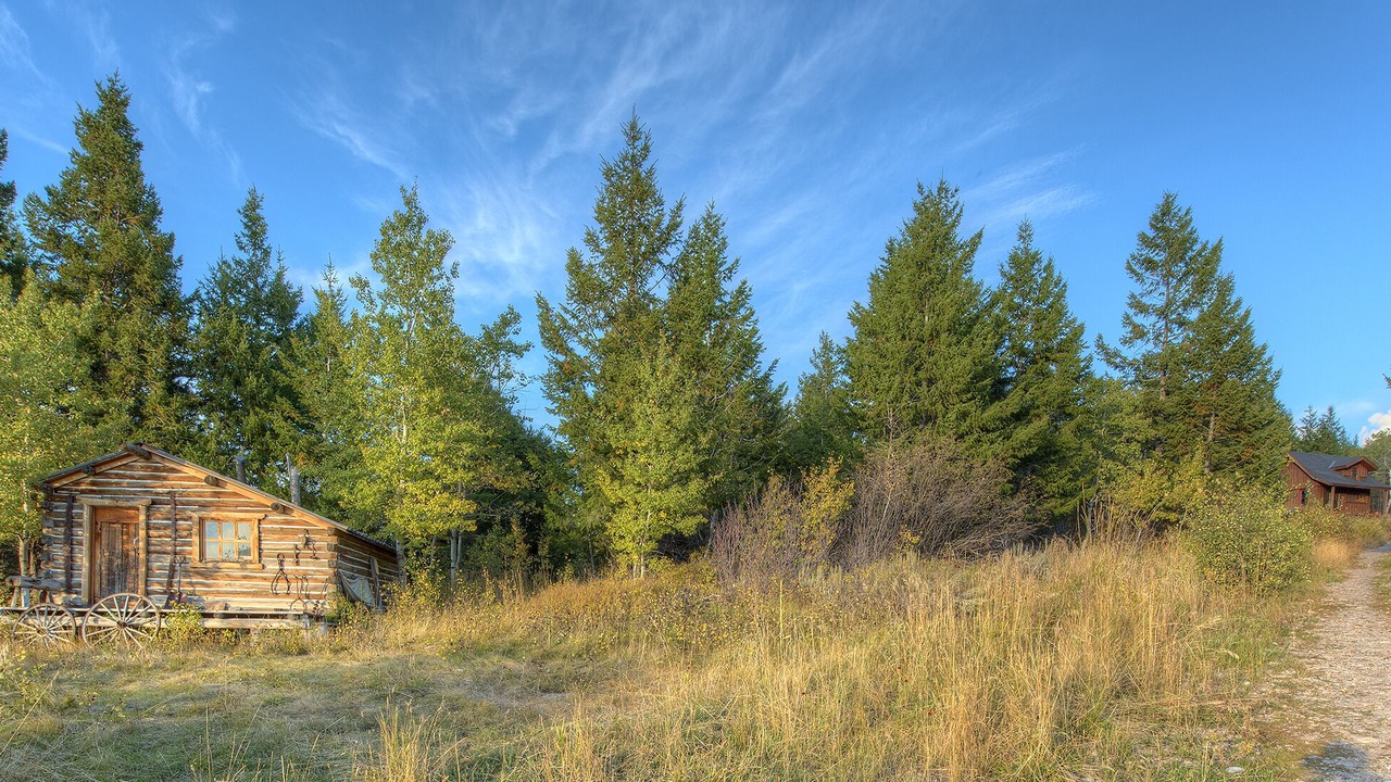 Photo of Others in Victor