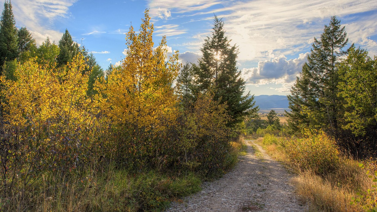 Photo of Outdoor in Victor