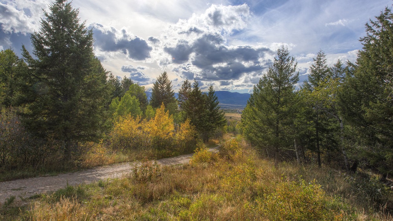 Photo of Others in Victor