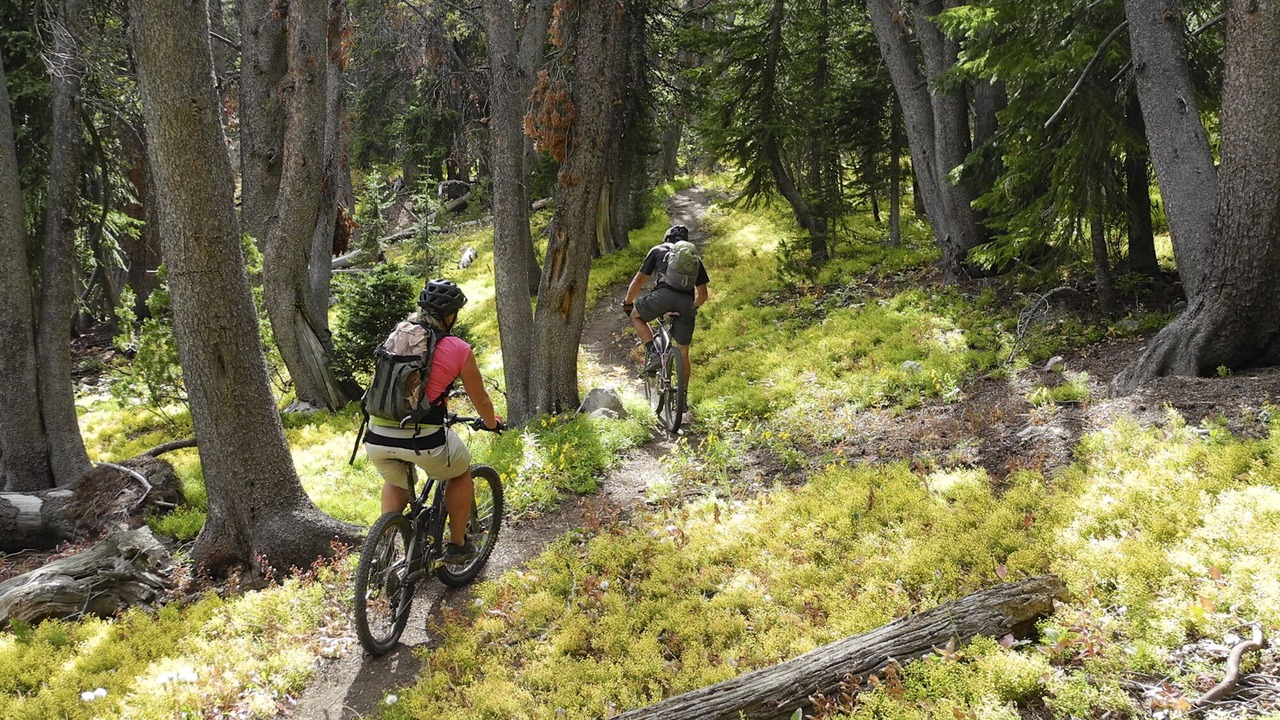 Photo of Others in Victor