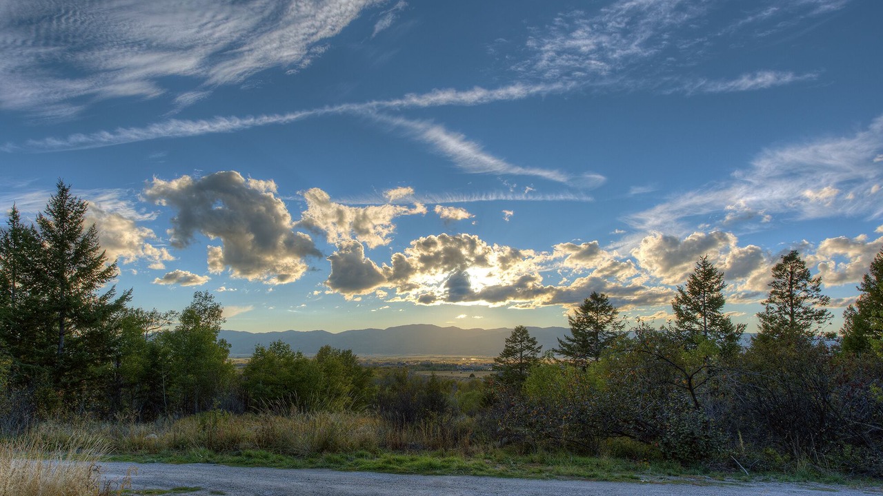 Photo of Others in Victor