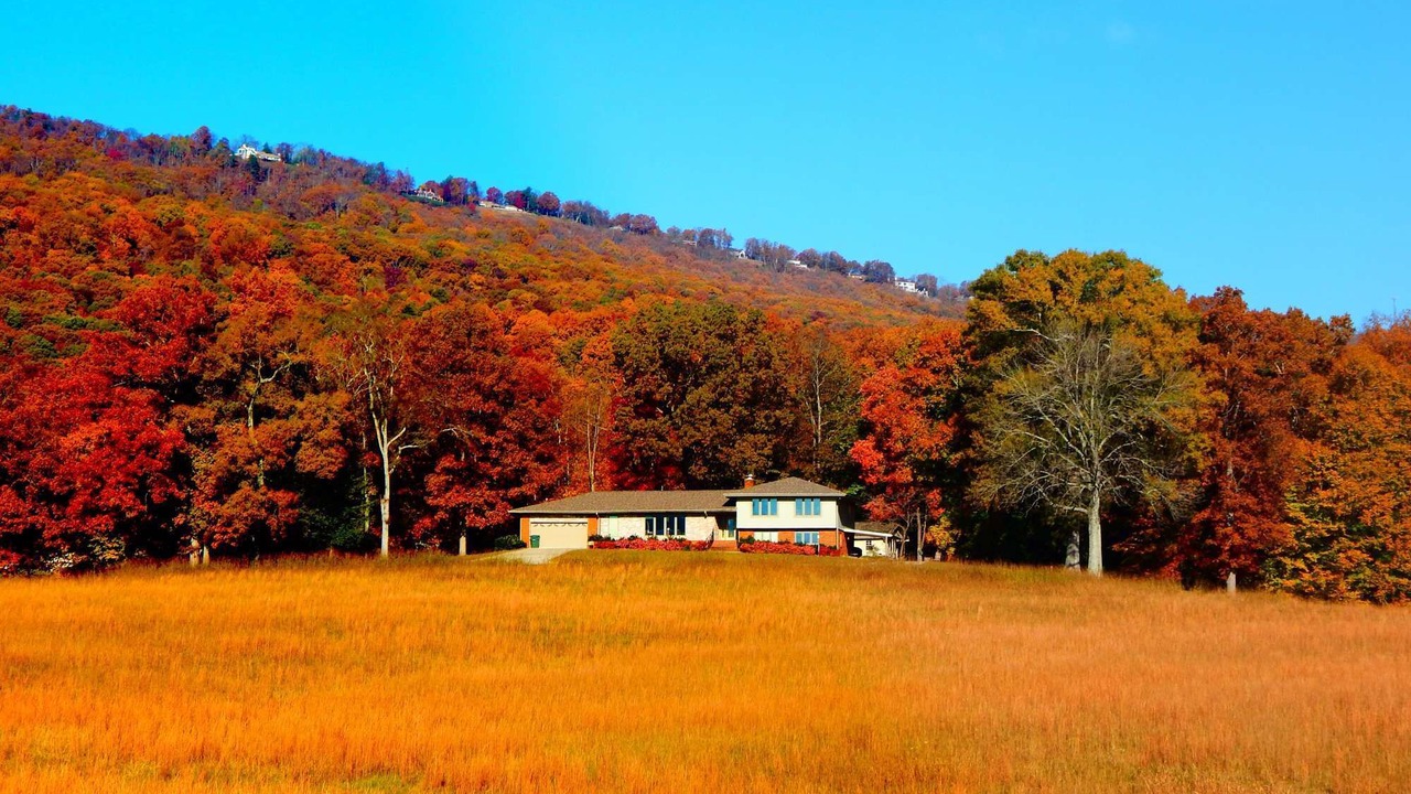 Photo of Outdoor in Lookout Valley Neighborhood Association