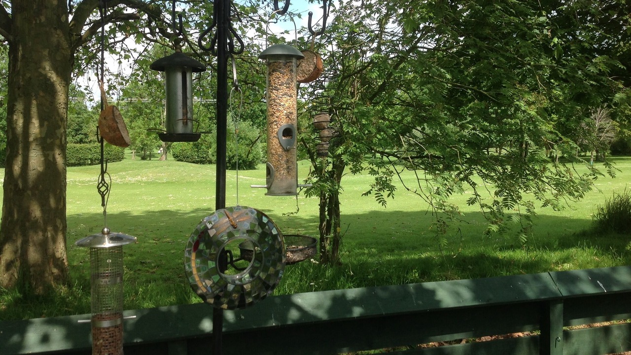 Photo of Others in Watton