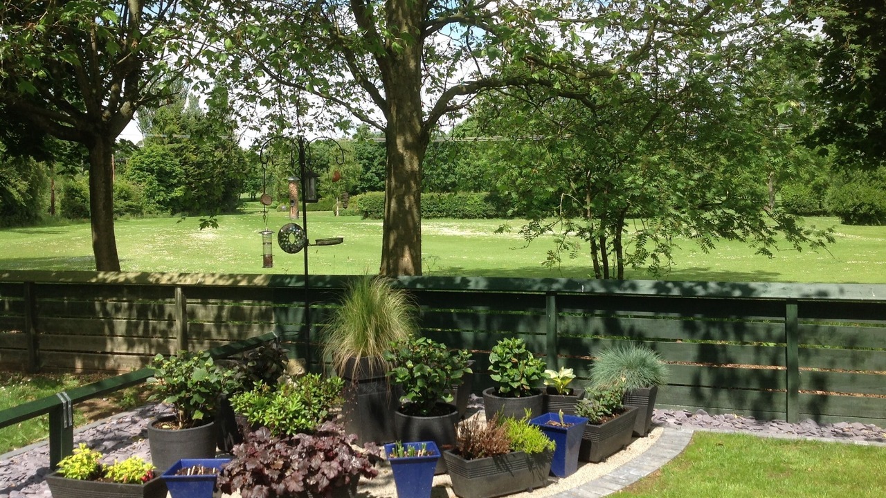 Photo of Others in Watton