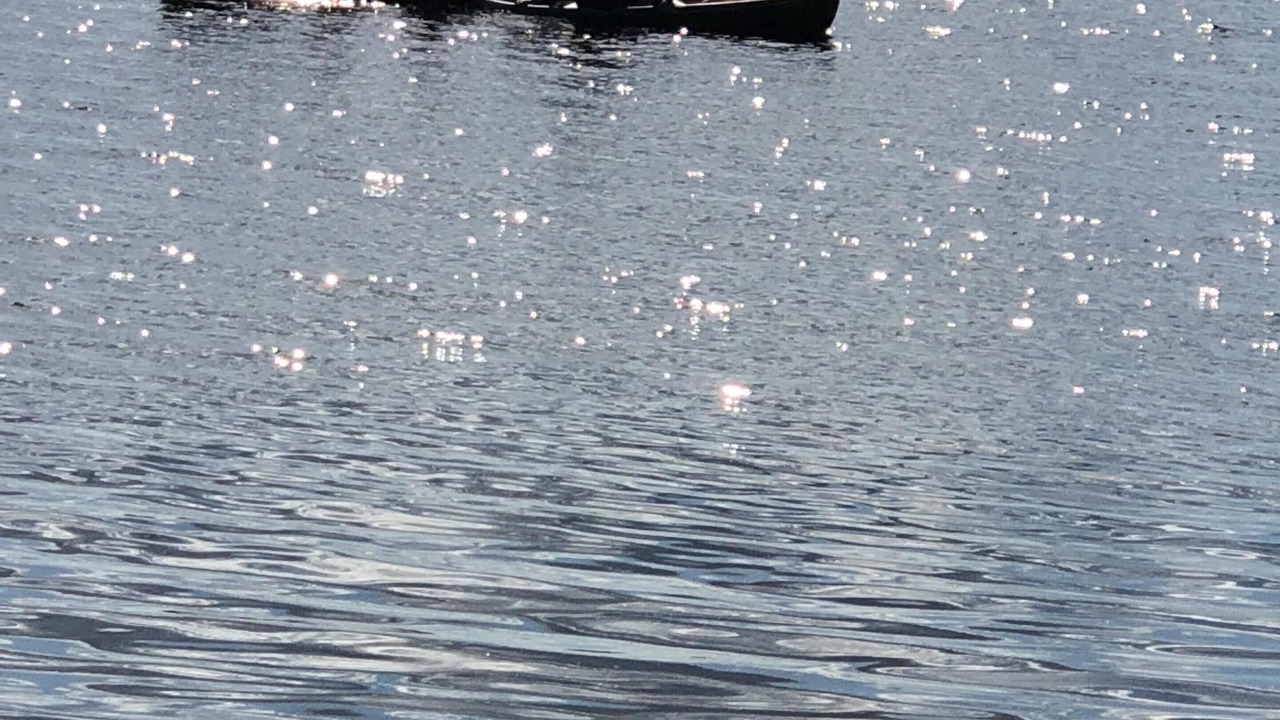 Photo of Outdoor in Fort Gaines