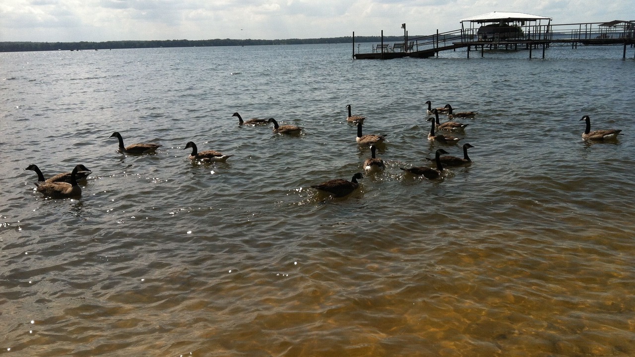 Photo of Outdoor in Fort Gaines