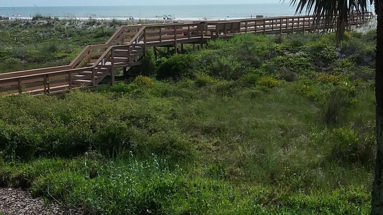 Photo of Others in St. Augustine Beach