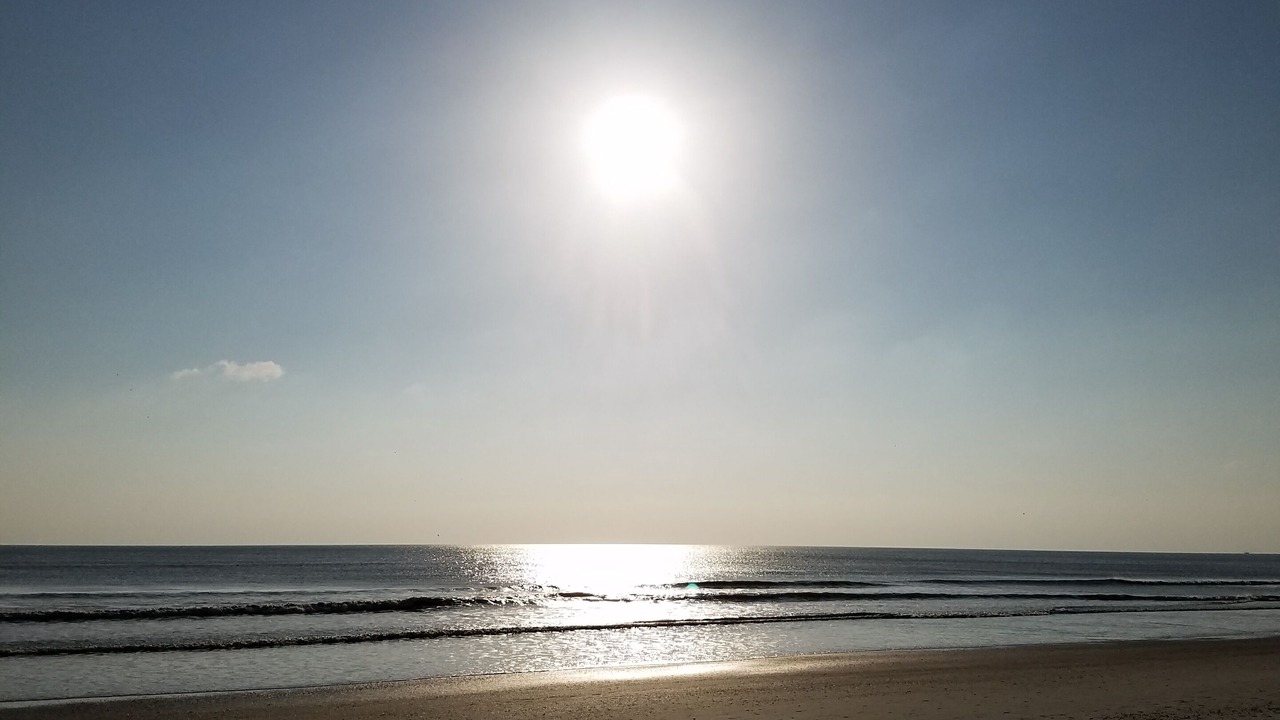 Photo of Others in St. Augustine Beach