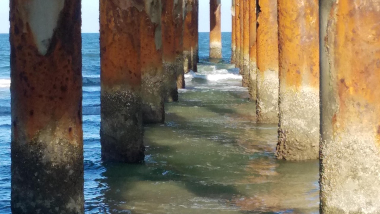 Photo of Others in St. Augustine Beach